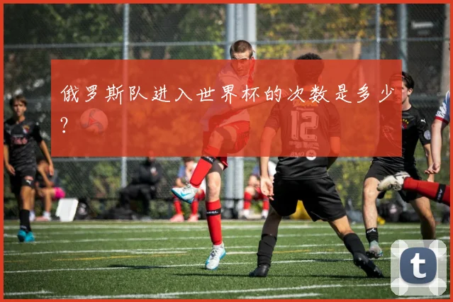 俄罗斯队进入世界杯的次数是多少?