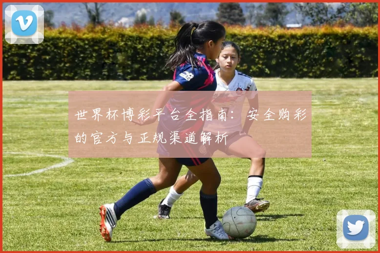 世界杯博彩平台全指南：安全购彩的官方与正规渠道解析